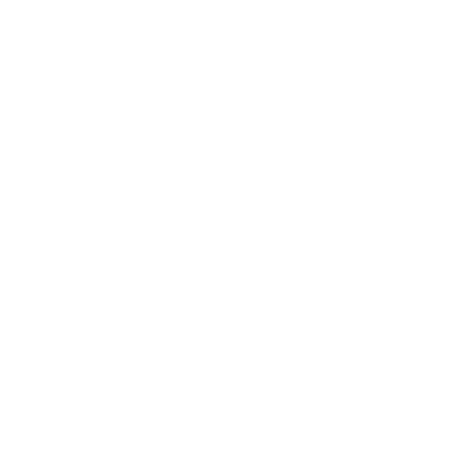 Asset Conditional Survey
